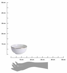 Dubuo, 480 ml kaina ir informacija | Indai, lėkštės, pietų servizai | pigu.lt