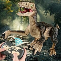 Nuotoliniu būdu valdomas dinozauras Velociraptorius kaina ir informacija | Žaislai berniukams | pigu.lt