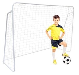 Futbolo vartai Paolo, 213x152 cm цена и информация | Футбольные ворота и сетки | pigu.lt