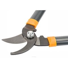 Набор ножниц Powermat, 1,5 кг. цена и информация | Садовые инструменты | pigu.lt