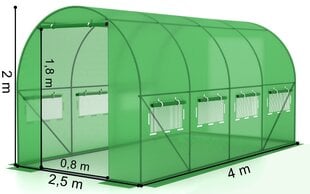 тепличная пленка - 2,5x4 м цена и информация | Теплицы | pigu.lt