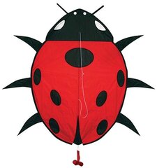 Aitvaras Lady Bug, 39cm kaina ir informacija | Aitvarai ir jų priedai | pigu.lt