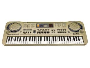 Sintezatorius MQ-811 цена и информация | Клавишные музыкальные инструменты | pigu.lt