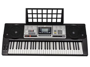 Sintezatorius MK-816 kaina ir informacija | Klavišiniai muzikos instrumentai | pigu.lt