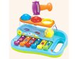 Muzikinis žaislas kūdikiui Hola kaina ir informacija | Žaislai kūdikiams | pigu.lt