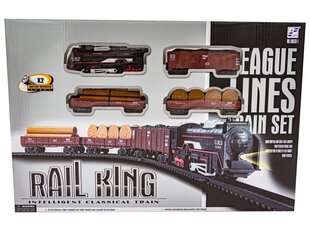 realistinis traukinys - lokomotyvas su vagonais vaikams Rail King kaina ir informacija | Žaislai berniukams | pigu.lt
