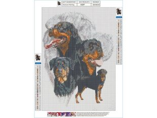 Deimantinė mozaika Rottweiler, 30x40cm kaina ir informacija | Deimantinės mozaikos | pigu.lt