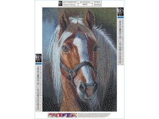 Deimantinė mozaika Dostoy Horse,30x40cm kaina ir informacija | Deimantinės mozaikos | pigu.lt