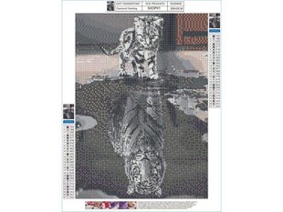 Deimantinė mozaika Tiger Cat, 30x40cm kaina ir informacija | Deimantinės mozaikos | pigu.lt