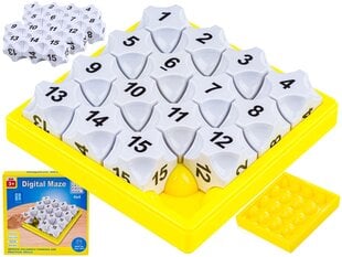 Stalo žaidimas Digital Maze DK kaina ir informacija | Stalo žaidimai, galvosūkiai | pigu.lt
