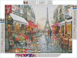 Deimantinė mozaika Paris Strett, 40x30cm kaina ir informacija | Deimantinės mozaikos | pigu.lt