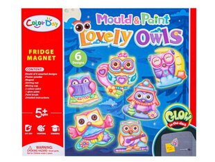Kūrybinis magnetų gamybos rinkinys Color Day Lovely Owls kaina ir informacija | Lavinamieji žaislai | pigu.lt