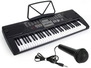 Pianino klaviatūra su mikrofonu MK-2106 цена и информация | Развивающие игрушки | pigu.lt