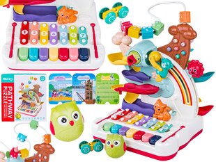 Daugiafunkcinis edukacinis kūdikių žaislas kaina ir informacija | Lavinamieji žaislai | pigu.lt