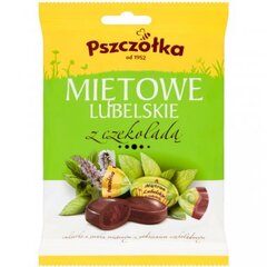 Šokoladiniai ledinukai Pszczolka Mietowe Lubelskie, mėtų skonio, 100 g kaina ir informacija | Saldumynai | pigu.lt