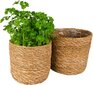 2 augalų vazonų rinkinys Gina Da, 13.5x12.5cm kaina ir informacija | Vazonai | pigu.lt