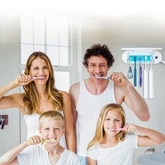 Meco HOLMS7158G цена и информация | Электрические зубные щетки | pigu.lt