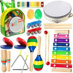 Набор детских музыкальных инструментов STOIE'S, 19 шт. цена и информация | Развивающие игрушки | pigu.lt