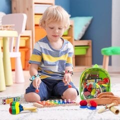 Набор детских музыкальных инструментов STOIE'S, 19 шт. цена и информация | Развивающие игрушки | pigu.lt