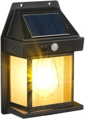 Солнечный настенный светильник с датчиком движения Flintronic цена и информация | Уличные светильники | pigu.lt