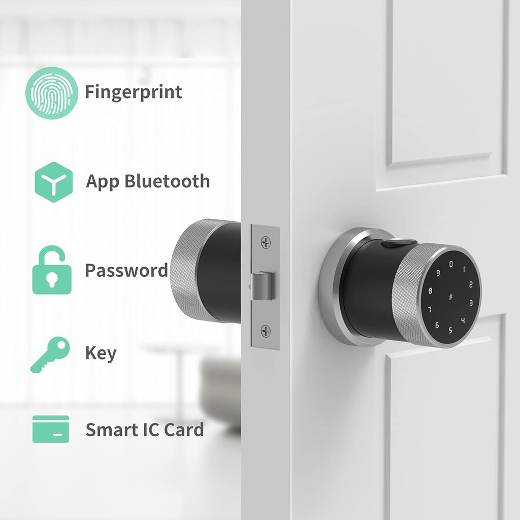 Smart biometrinis durų užraktas su rankena Lifeng цена и информация | Durų rankenos | pigu.lt