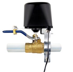Водяной клапан Smart цена и информация | Оборудование для полива | pigu.lt