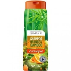 Šampūnas Gallus Orange & Bamboo, 500 ml kaina ir informacija | Šampūnai | pigu.lt