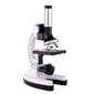 Eyebree mikroskopas vaikams XSP-11 kaina ir informacija | Teleskopai ir mikroskopai | pigu.lt