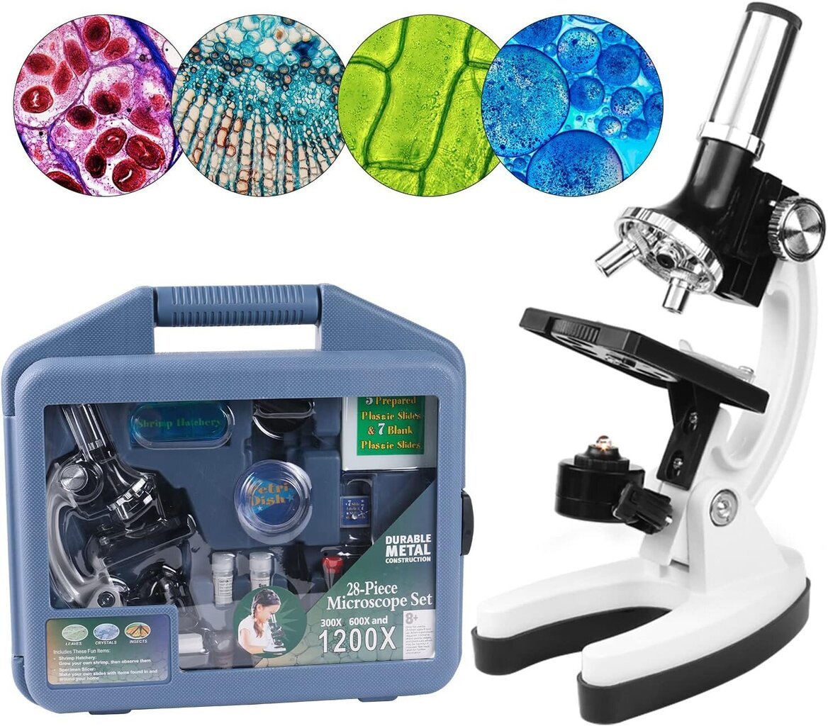 Eyebree mikroskopas vaikams XSP-11 kaina ir informacija | Teleskopai ir mikroskopai | pigu.lt