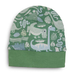 Kepurė berniukams Nini ABN-3160, žalia kaina ir informacija | Kepurės, pirštinės, kaklaskarės kūdikiams | pigu.lt