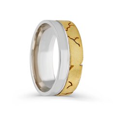 Серебряное (925) кольцо с классическим дизайном, код ah5ss8171, EU-61 (~19,5 мм) AH5SS8171EU-61 цена и информация | Кольца | pigu.lt