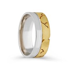 Серебряное (925) кольцо с классическим дизайном, код ah5ss8171, EU-66 (~21 мм) AH5SS8171EU-66 цена и информация | Кольца | pigu.lt