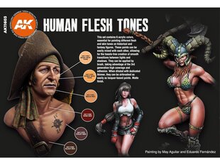 Akrilinių dažų rinkinys AK Interactive 3rd generation Human Flesh tones, AK11603 kaina ir informacija | Piešimo, tapybos, lipdymo reikmenys | pigu.lt