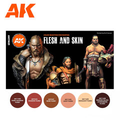 Akrilinių dažų rinkinys Flesh And Skin AK Interactive 3rd generation AK11621 kaina ir informacija | Piešimo, tapybos, lipdymo reikmenys | pigu.lt