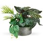 Vilde dirbtinis augalas vazone 28 cm kaina ir informacija | Interjero detalės | pigu.lt