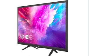 UD 24DW4210 HD цена и информация | Телевизоры | pigu.lt