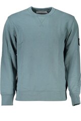 Calvin Klein džemperis vyrams J30J323426, žalias kaina ir informacija | Džemperiai vyrams | pigu.lt