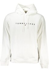 Tommy Hilfiger džemperis vyrams DM0DM17985, baltas kaina ir informacija | Džemperiai vyrams | pigu.lt