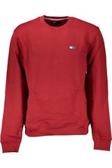 Tommy Hilfiger džemperis vyrams DM0DM17986, raudonas kaina ir informacija | Džemperiai vyrams | pigu.lt