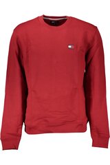 джемпер tommy hilfiger dm0dm17986 DM0DM17986_ROXMO_2XL цена и информация | Мужские толстовки | pigu.lt