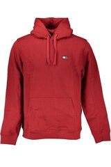 Tommy Hilfiger džemperis vyrams DM0DM17988, raudonas kaina ir informacija | Džemperiai vyrams | pigu.lt