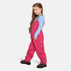 Детские утепленные штаны Huppa весна-осень FUNNY 40g, цвет фуксия цена и информация | Брюки для девочки | pigu.lt