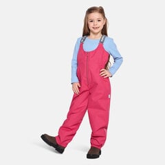 Детские утепленные штаны Huppa весна-осень FUNNY 40g, цвет фуксия цена и информация | Брюки для девочки, бирюзовые | pigu.lt