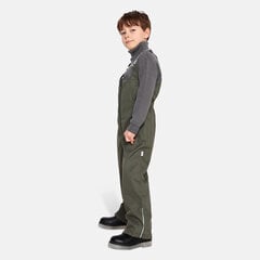 Детские утепленные весенне-осенние штаны Huppa JORMA 40g, зеленый цвет цена и информация | Штаны для мальчиков | pigu.lt