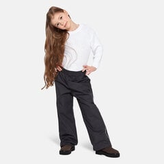 Детские утепленные штаны Huppa весна-осень FRIDA 1 40г, темно-серый цвет цена и информация | Штаны для мальчиков | pigu.lt