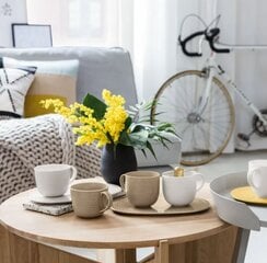 Кружка Villeroy &amp; Boch It&#39;s My Moment, 0,48 л цена и информация | Стаканы, фужеры, кувшины | pigu.lt