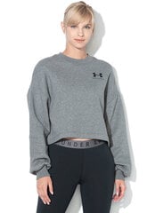 Džemperis moterims Under Armour 1344399011, pilkas цена и информация | Женские толстовки | pigu.lt