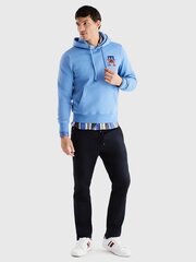 Мужской свитер Tommy Hilfiger, синий цена и информация | Мужские толстовки | pigu.lt