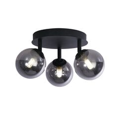 Потолочный светильник прожектор Searchlight Crosby 96913-3BK цена и информация | Потолочные светильники | pigu.lt