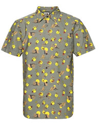 Marškiniai vyrams The North Face NF0A55ND02K, žali цена и информация | Рубашка мужская | pigu.lt